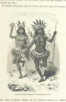 Picture 303 of 334 from Les Races Humaines ... Ouvrage illustré de 334 gravures dessinées sur bois, et de 8 chromo-lithographies, etc (1872), leaf 593