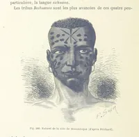 Picture 308 of 334 from Les Races Humaines ... Ouvrage illustré de 334 gravures dessinées sur bois, et de 8 chromo-lithographies, etc (1872), leaf 606