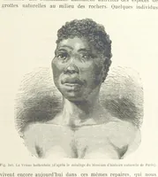 Picture 310 of 334 from Les Races Humaines ... Ouvrage illustré de 334 gravures dessinées sur bois, et de 8 chromo-lithographies, etc (1872), leaf 609