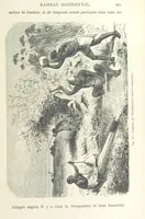Picture 316 of 334 from Les Races Humaines ... Ouvrage illustré de 334 gravures dessinées sur bois, et de 8 chromo-lithographies, etc (1872), leaf 627