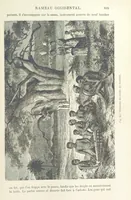 Picture 320 of 334 from Les Races Humaines ... Ouvrage illustré de 334 gravures dessinées sur bois, et de 8 chromo-lithographies, etc (1872), leaf 631