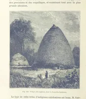 Picture 328 of 334 from Les Races Humaines ... Ouvrage illustré de 334 gravures dessinées sur bois, et de 8 chromo-lithographies, etc (1872), leaf 646