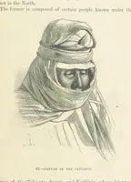 An illustration from The Human Race, ... illustrated by ... engravings on wood, and ... chromolithographs (1872)