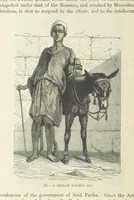 An illustration from The Human Race, ... illustrated by ... engravings on wood, and ... chromolithographs (1872)