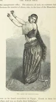 An illustration from The Human Race, ... illustrated by ... engravings on wood, and ... chromolithographs (1872)