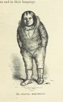 An illustration from The Human Race, ... illustrated by ... engravings on wood, and ... chromolithographs (1872)