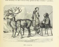 An illustration from The Human Race, ... illustrated by ... engravings on wood, and ... chromolithographs (1872)