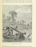 An illustration from The Human Race, ... illustrated by ... engravings on wood, and ... chromolithographs (1872)