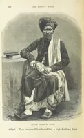 An illustration from The Human Race, ... illustrated by ... engravings on wood, and ... chromolithographs (1872)