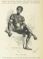 An illustration from The Human Race, ... illustrated by ... engravings on wood, and ... chromolithographs (1872)