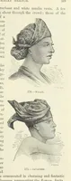 An illustration from The Human Race, ... illustrated by ... engravings on wood, and ... chromolithographs (1872)