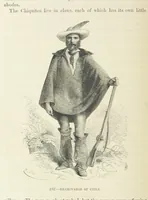 An illustration from The Human Race, ... illustrated by ... engravings on wood, and ... chromolithographs (1872)