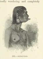 An illustration from The Human Race, ... illustrated by ... engravings on wood, and ... chromolithographs (1872)