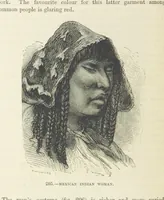 An illustration from The Human Race, ... illustrated by ... engravings on wood, and ... chromolithographs (1872)