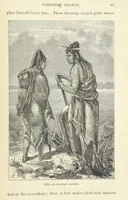An illustration from The Human Race, ... illustrated by ... engravings on wood, and ... chromolithographs (1872)