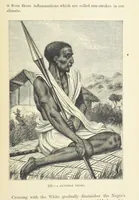 An illustration from The Human Race, ... illustrated by ... engravings on wood, and ... chromolithographs (1872)