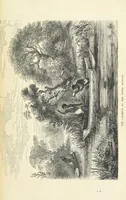 An illustration from The Human Race, ... illustrated by ... engravings on wood, and ... chromolithographs (1872)