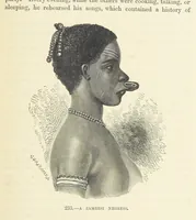 An illustration from The Human Race, ... illustrated by ... engravings on wood, and ... chromolithographs (1872)