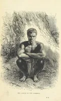 An illustration from The Human Race, ... illustrated by ... engravings on wood, and ... chromolithographs (1872)