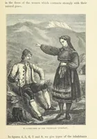 An illustration from The Human Race, ... illustrated by ... engravings on wood, and ... chromolithographs (1872)