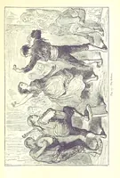 An illustration from The Human Race, ... illustrated by ... engravings on wood, and ... chromolithographs (1875)