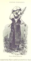 Picture 23 of 239 from The Human Race, ... illustrated by ... engravings on wood, and ... chromolithographs (1875), leaf 109