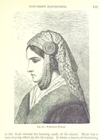 Picture 35 of 239 from The Human Race, ... illustrated by ... engravings on wood, and ... chromolithographs (1875), leaf 139