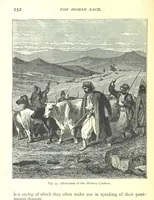 Picture 51 of 239 from The Human Race, ... illustrated by ... engravings on wood, and ... chromolithographs (1875), leaf 166