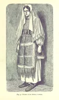 Picture 52 of 239 from The Human Race, ... illustrated by ... engravings on wood, and ... chromolithographs (1875), leaf 167