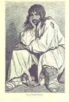 Picture 54 of 239 from The Human Race, ... illustrated by ... engravings on wood, and ... chromolithographs (1875), leaf 171