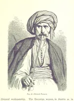Picture 55 of 239 from The Human Race, ... illustrated by ... engravings on wood, and ... chromolithographs (1875), leaf 173