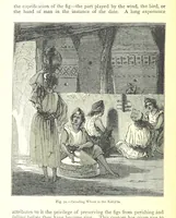 Picture 68 of 239 from The Human Race, ... illustrated by ... engravings on wood, and ... chromolithographs (1875), leaf 206