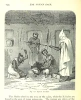 Picture 69 of 239 from The Human Race, ... illustrated by ... engravings on wood, and ... chromolithographs (1875), leaf 208