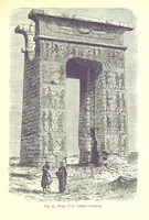 Picture 70 of 239 from The Human Race, ... illustrated by ... engravings on wood, and ... chromolithographs (1875), leaf 211