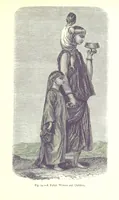 Picture 71 of 239 from The Human Race, ... illustrated by ... engravings on wood, and ... chromolithographs (1875), leaf 215