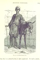 Picture 72 of 239 from The Human Race, ... illustrated by ... engravings on wood, and ... chromolithographs (1875), leaf 217
