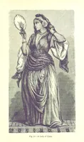 Picture 73 of 239 from The Human Race, ... illustrated by ... engravings on wood, and ... chromolithographs (1875), leaf 219