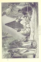 Picture 75 of 239 from The Human Race, ... illustrated by ... engravings on wood, and ... chromolithographs (1875), leaf 223