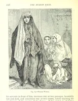 Picture 82 of 239 from The Human Race, ... illustrated by ... engravings on wood, and ... chromolithographs (1875), leaf 240
