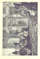 Picture 84 of 239 from The Human Race, ... illustrated by ... engravings on wood, and ... chromolithographs (1875), leaf 243