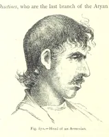Picture 85 of 239 from The Human Race, ... illustrated by ... engravings on wood, and ... chromolithographs (1875), leaf 246