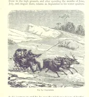 Picture 87 of 239 from The Human Race, ... illustrated by ... engravings on wood, and ... chromolithographs (1875), leaf 251
