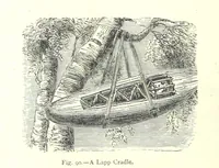Picture 88 of 239 from The Human Race, ... illustrated by ... engravings on wood, and ... chromolithographs (1875), leaf 252