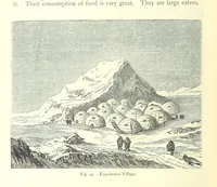 Picture 93 of 239 from The Human Race, ... illustrated by ... engravings on wood, and ... chromolithographs (1875), leaf 260