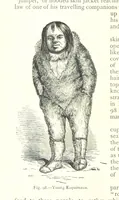 Picture 96 of 239 from The Human Race, ... illustrated by ... engravings on wood, and ... chromolithographs (1875), leaf 264
