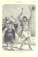 Picture 103 of 239 from The Human Race, ... illustrated by ... engravings on wood, and ... chromolithographs (1875), leaf 281