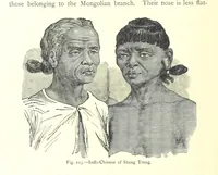 Picture 111 of 239 from The Human Race, ... illustrated by ... engravings on wood, and ... chromolithographs (1875), leaf 306