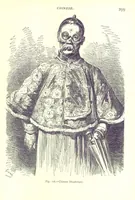 Picture 114 of 239 from The Human Race, ... illustrated by ... engravings on wood, and ... chromolithographs (1875), leaf 313