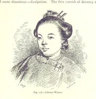 Picture 116 of 239 from The Human Race, ... illustrated by ... engravings on wood, and ... chromolithographs (1875), leaf 317