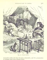 Picture 120 of 239 from The Human Race, ... illustrated by ... engravings on wood, and ... chromolithographs (1875), leaf 325